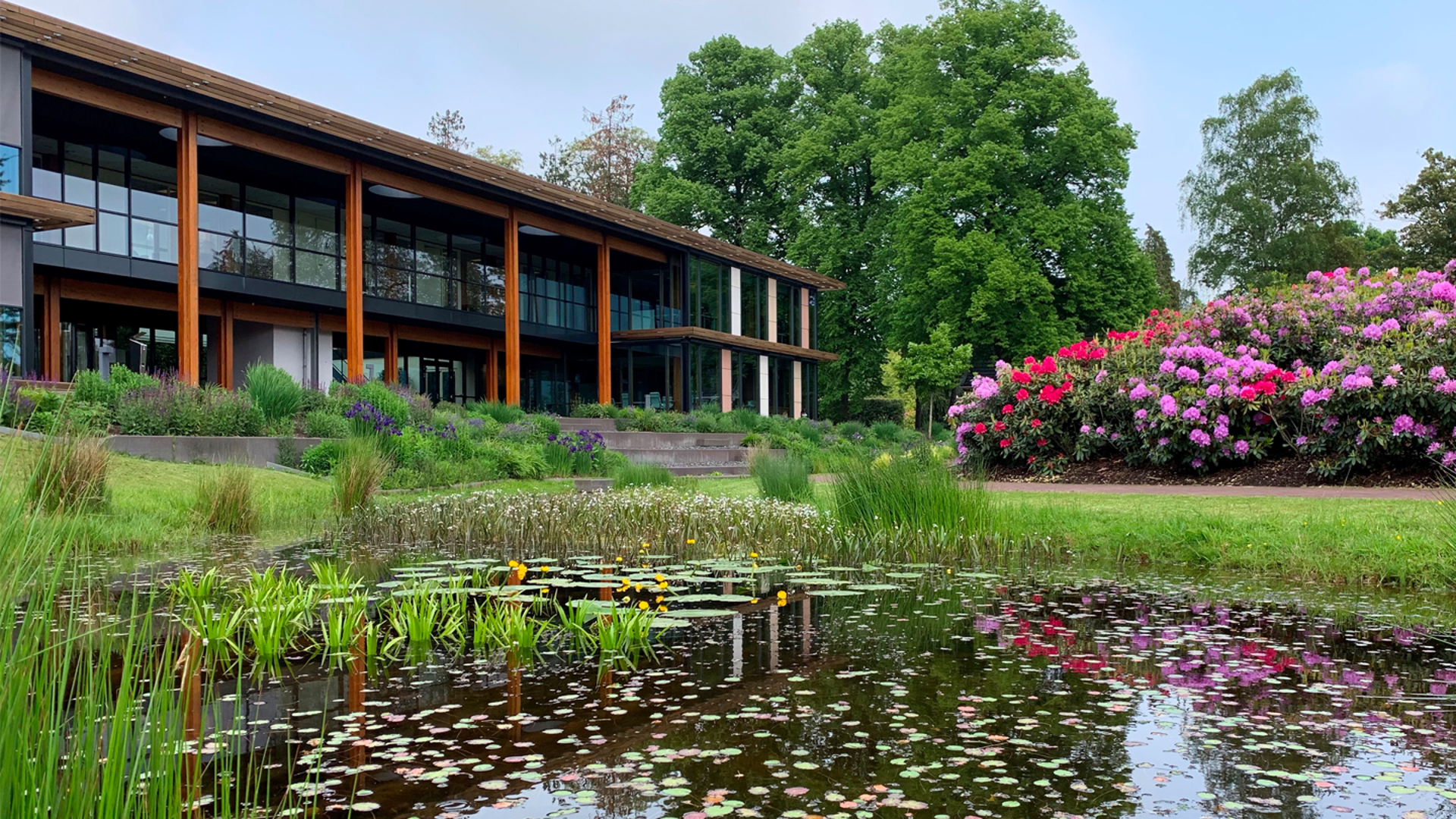 Meer grip op het sociale domein